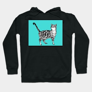 Cute Striped Tabby Cat Art Turquoise Hoodie